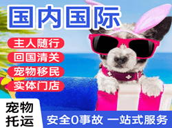 常州奔牛航空快递国际宠物托运 【国